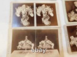 183 Stereo Views Oberlin Ohio Photo Group Pre Civil War Circa 1800's 6 Views