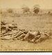 1863 Civil War Battle Of Gettysburg View In Wheat Field By Timothy O'sullian