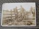 1913 Gettysburg Reunion Photo Yank & Johnny Reb