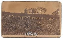 6 Civil War CDVs 1864 DECATUR ALA. Outdoor images Fromer Slaves Pontoon Bridge