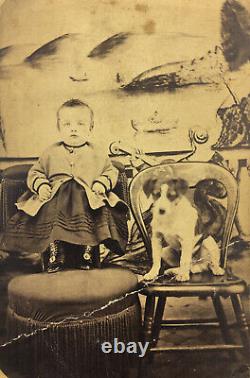 ALLENTOWN PA c1864 Civil War Era WIREHAIRED TERRIER withCHILD CDV withFREE SHIPPING