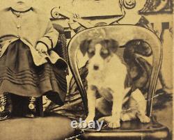 ALLENTOWN PA c1864 Civil War Era WIREHAIRED TERRIER withCHILD CDV withFREE SHIPPING