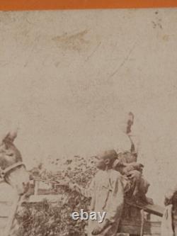 African American Gettysburg Pennsylvania Civil War Taylor Stereoview Photo Brady