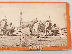 African American Gettysburg Pennsylvania Civil War Taylor Stereoview Photo Brady