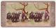 Antique 1860's The Vigilantes Lynching Mob At Hanging Tree Texas Photo Card P047