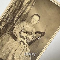 Antique CDV Photograph Adorable Little Girl Precious Tabby Cat Civil War Era