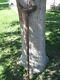 Antique Civil War Confederate Medicine Medical Soldier Wooden Crutch