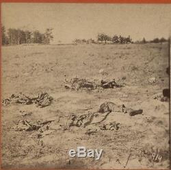 Antique Photo CIVIL War Battlefield Carnage. Stereoview