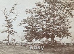 CIVIL WAR BTL. Of APPOMATTOX COURTHOUSE BATTLEFIELD FENCE LINE STEREOVIEW PHOTO