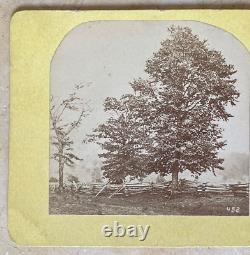 CIVIL WAR BTL. Of APPOMATTOX COURTHOUSE BATTLEFIELD FENCE LINE STEREOVIEW PHOTO