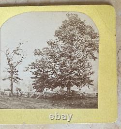 CIVIL WAR BTL. Of APPOMATTOX COURTHOUSE BATTLEFIELD FENCE LINE STEREOVIEW PHOTO