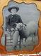 Civil War Era 1/6 Plate Ambrotype Photo Boy With Pet Sheepwide Brim Pork Pie Hat