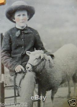 Civil War Era 1/6 Plate AMBROTYPE Photo BOY with PET SHEEPWide Brim Pork Pie HAT