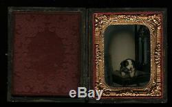 Civil War Era Cased Tintype Photo Little Dog in Gothic Chair with Toy