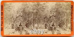 Civil War Gettysburg PA Culp's Hill Tree Damage 1863 Brady negative CW223