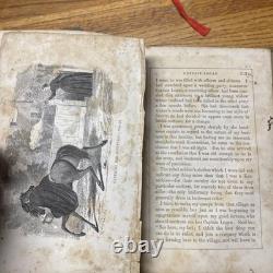 Civil War US Confederate Nurse Spy Sara Edmonds Photo Book Vintage Crossdresser