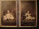 Civil War Pair Of Cdv's (sisters) With One Sister Holding Adorable Cat Hartfo