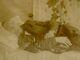 Exceedingly Rare Civil War Era Post Mortem Carte De Visite Man And Dog In Bed