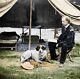 General Custer Dog Peninsular Color Tinted Photo Civil War 01553