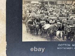 ORIGINAL AFRICAN AMERICANA COTTON MARKET MONTGOMERY ALABAMA PHOTO c1910