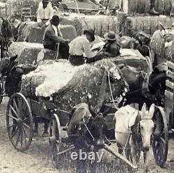 ORIGINAL AFRICAN AMERICANA COTTON MARKET MONTGOMERY ALABAMA PHOTO c1910