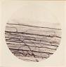 Rare Microscopic Albumen Photograph Civil War Surgeon Muscle Fibers