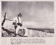 Robert Capa Photo, Iconic Press Photo, Spanish Civil War Photo, Wwii Photo