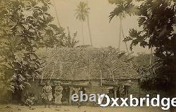 SAMOA NATIVE HUT Samoan Village CIVIL WAR Costume POLYNESIA Albumen Photo 1880's