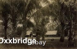 SAMOA NATIVE HUT Samoan Village CIVIL WAR Costume POLYNESIA Albumen Photo 1880's